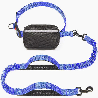 laisse pour chien variante bleue royale