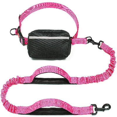 laisse pour chien variante rose
