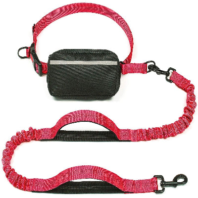 laisse pour chien variante rouge
