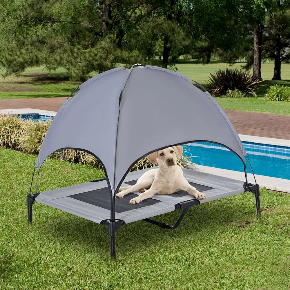 labrador couché sous dôme de lit de camp pour chiens près de piscine