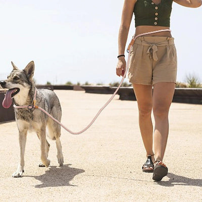 berger-allemand avec longe pour chien beige marche-sur-sentier-en-ciment-avec-femme