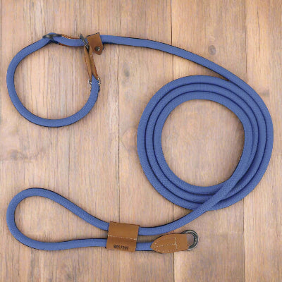 longe pour chien bleue sur plancher de bois
