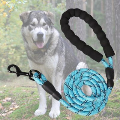 longe pour chien bleue avec malamute en arriere plan