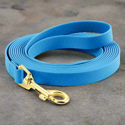 longe pour chien bleue