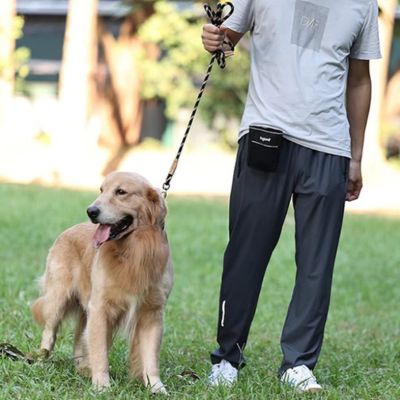 Longe pour chien d'entrainement