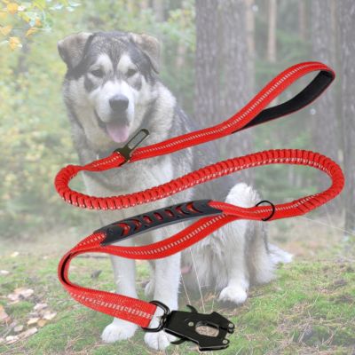 longe pour chien rouge sur fond de malamute