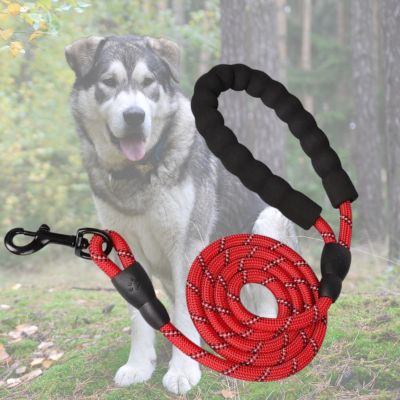 longe pour chien rouge avec malamute en arriere plan