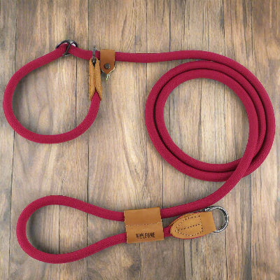 longe pour chien rouge sur plancher de bois