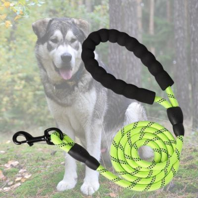 longe pour chien verte avec malamute en arriere plan