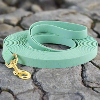 longe pour chien verte
