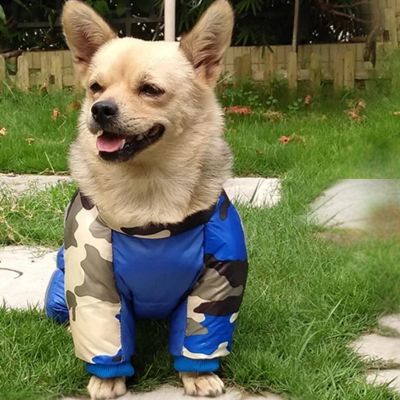 Manteau chien Puffhound