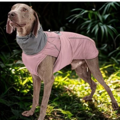 Manteau chien Pawparka