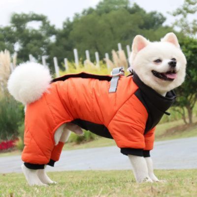 MANTEAU POUR CHIEN 4 PATTES - Joli Toutou