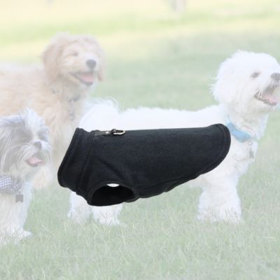 manteau pour chien noir sur fond de chiens