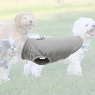 manteau pour chien gris sur fond de chiens
