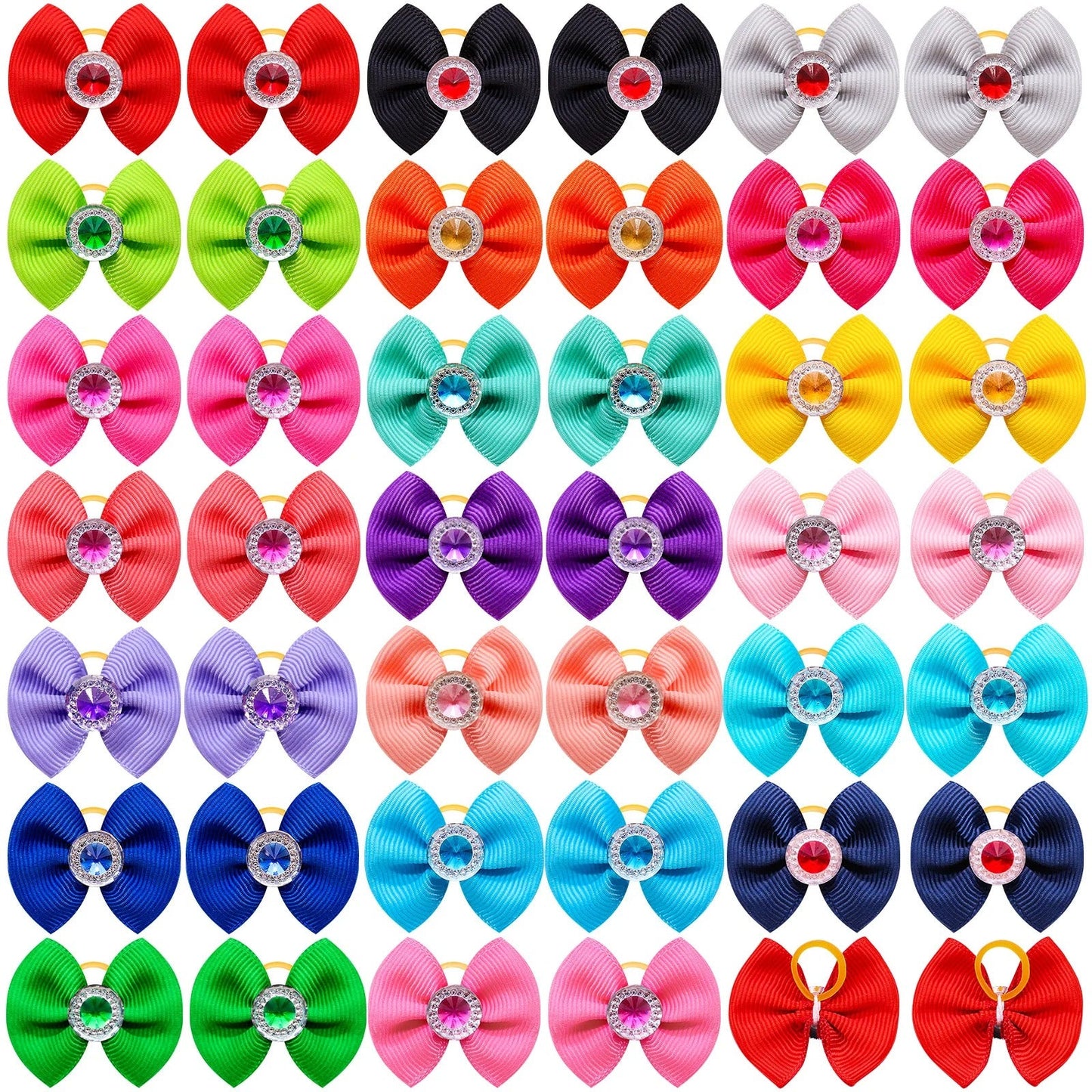 noeud papillon pour chien uni