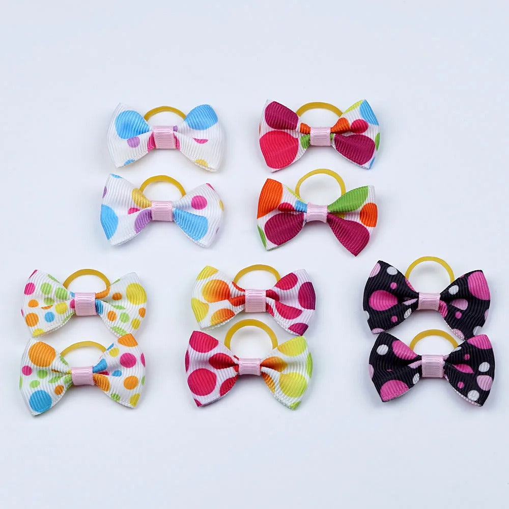 noeud papillon pour chien couleur vive