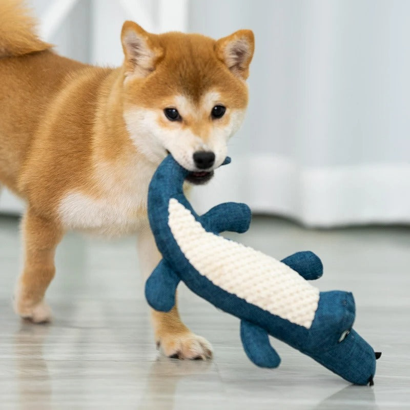 shiba inu porte peluche pour chien en marchant
