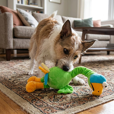 Peluche pour chien | Popoulet