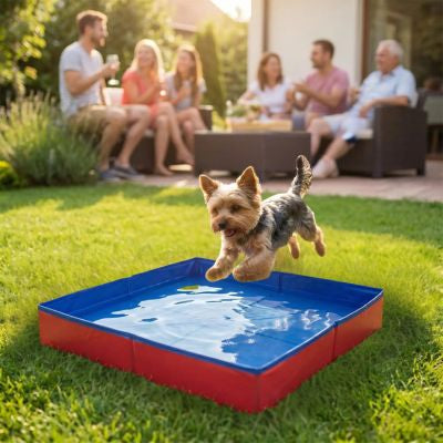 Piscine chien | AquaPaw