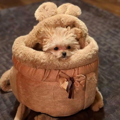 yorkie dans sac a dos chien brun par terre