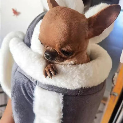 chihuahua brun dans sac a dos chien gris