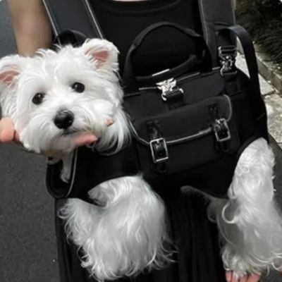 chien blanc dans sac a dos chien noir
