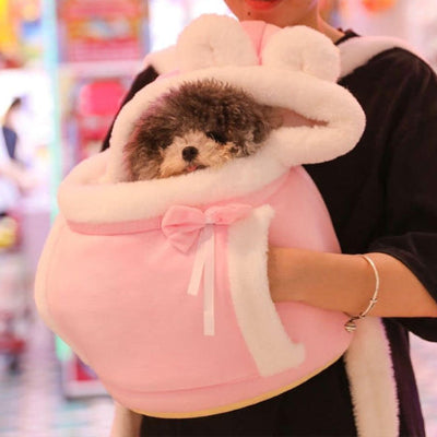 caniche brun dans sac a dos chien rose porte par sa mere humaine