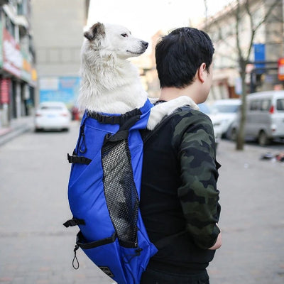 chien blanc dans sac a dos pour chien porte par homme