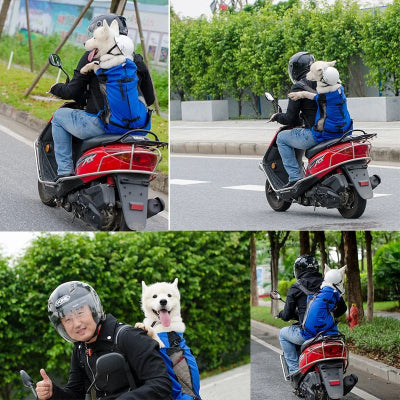 sac a dos pour chien sur dos de homme sur velomoteur rouge