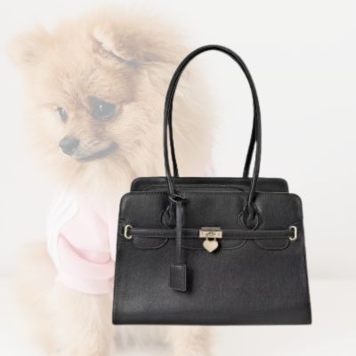 sac de transport pour chien noir avec arriere plan de pomeranien