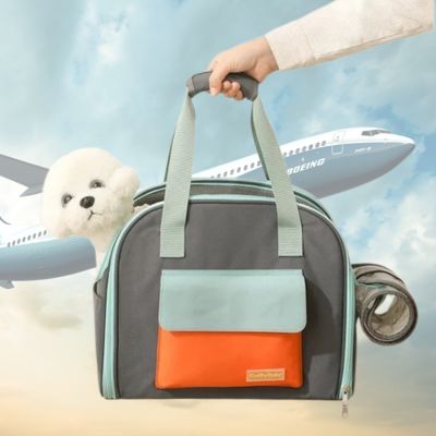 Sac de transport pour chien variante grise