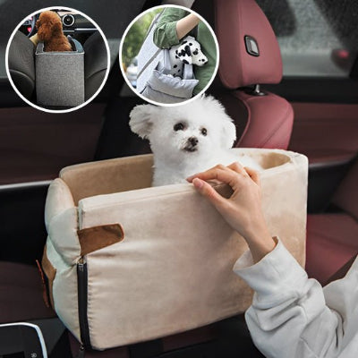 caniche-blanc-dans-sac-dans-voiture-