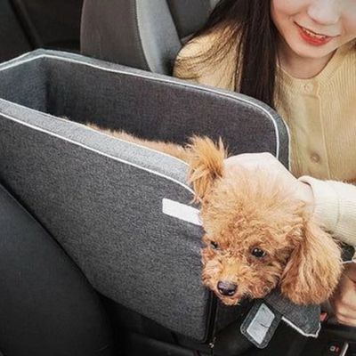 caniche-brun-dans-sac-sur-console-auto
