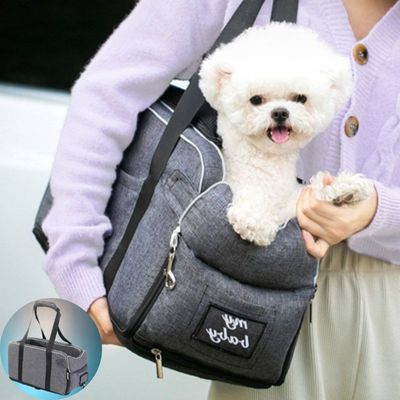 caniche-dans-sac-avec-femme-en-blanc