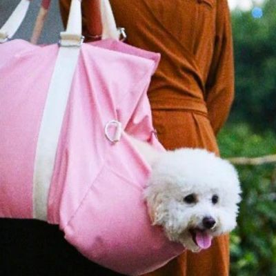 caniche-blanc-dans-sac-rose-