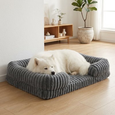 samoyède dort dans Panier à Chien gris