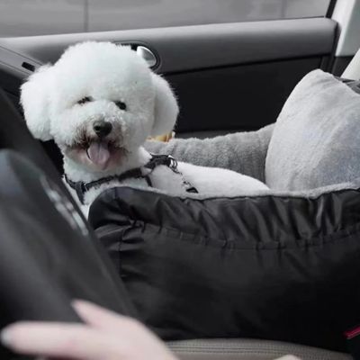 caniche blanc dans siège auto pour chien noir sur banquette avant de voiture