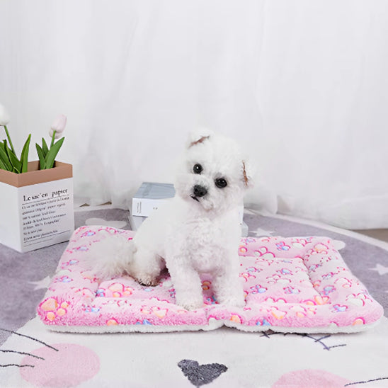 chien blanc sur tapis pour chien sur plancher