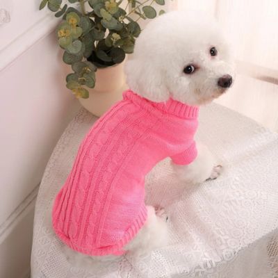 caniche blanc sur table pote vetement pour chien en tricot rose