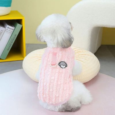 VĂȘtement pour chien mode