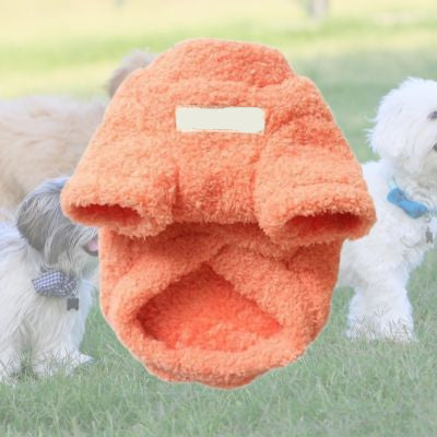 vetement pour chien orange