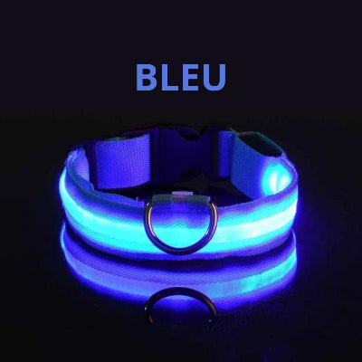 collier lumineux pour chien bleu sur fond noir