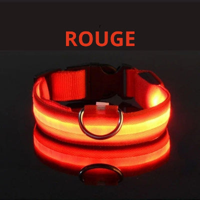 collier lumineux pour chien rouge sur fond noir