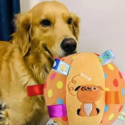 golden retriever avec jouet pour chien dans sa bouche