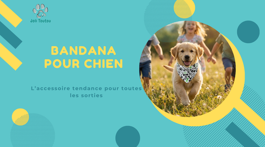 Bandana pour chien : l'accessoire tendance pour toutes les sorties