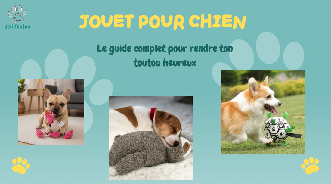 Jouet pour Chien : Le Guide Complet pour Rendre Ton Toutou Heureux