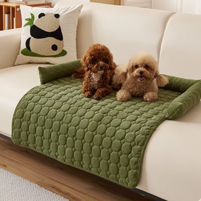 2 caniches couche sur Lit pour chien sur sofa blanc