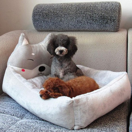 2 caniches dans Panier chien