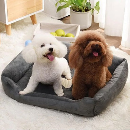 2 caniches dans Panier pour chien
